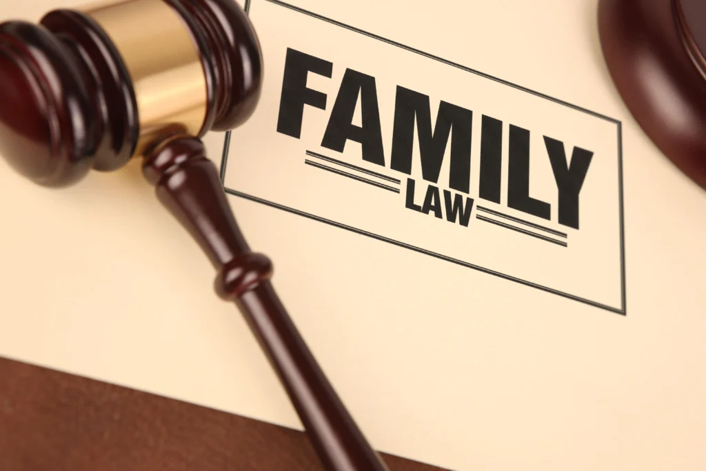 This image represents the family law services in law for lawyer.